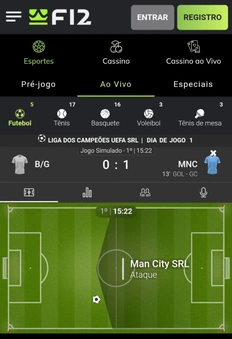 Campo animado de uma partida ao vivo